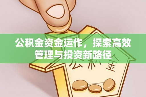 巴青公积金资金运作，探索高效管理与投资新路径