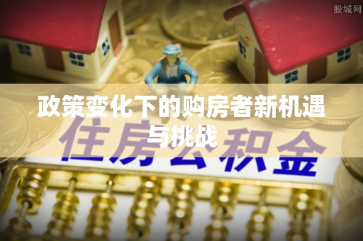 巴青政策变化下的购房者新机遇与挑战