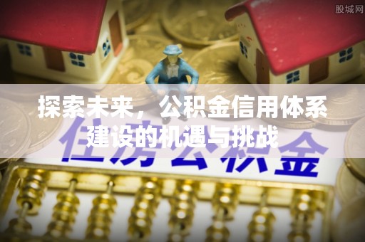 巴青探索未来，公积金信用体系建设的机遇与挑战