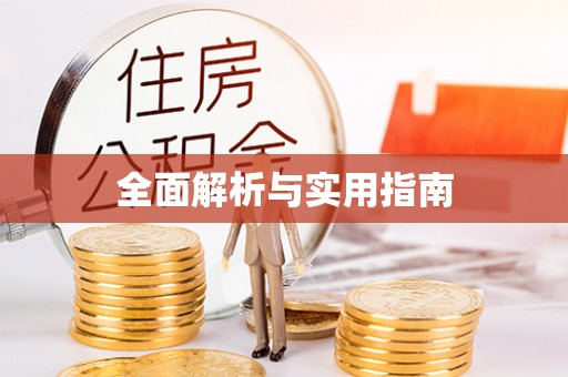 巴青全面解析与实用指南