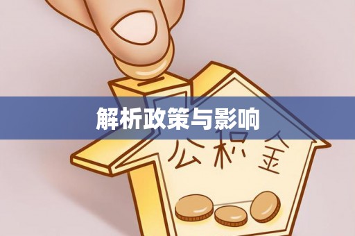 巴青解析政策与影响
