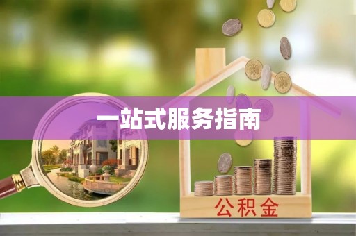 巴青一站式服务指南