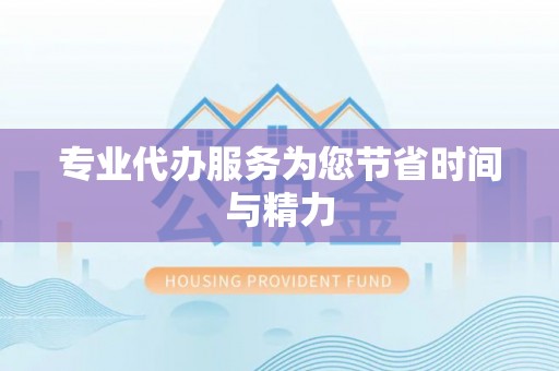 巴青专业代办服务为您节省时间与精力