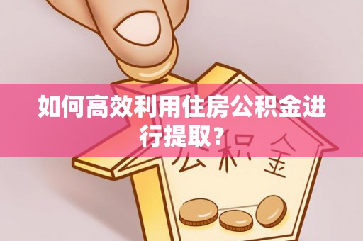 巴青如何高效利用住房公积金进行提取？