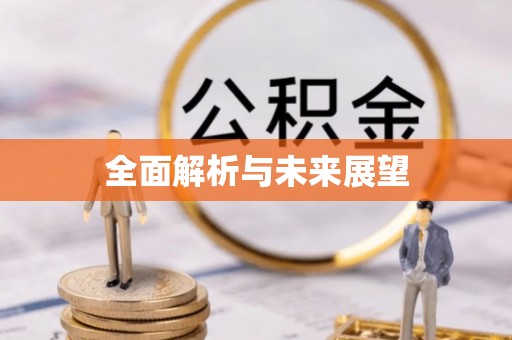 巴青全面解析与未来展望