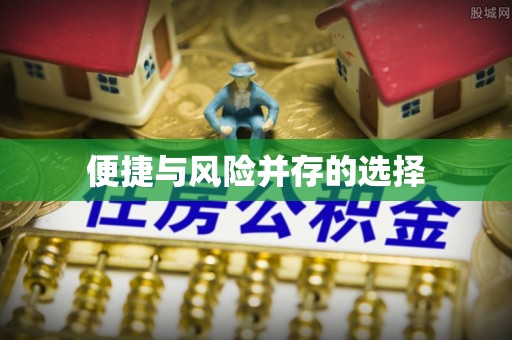 巴青便捷与风险并存的选择