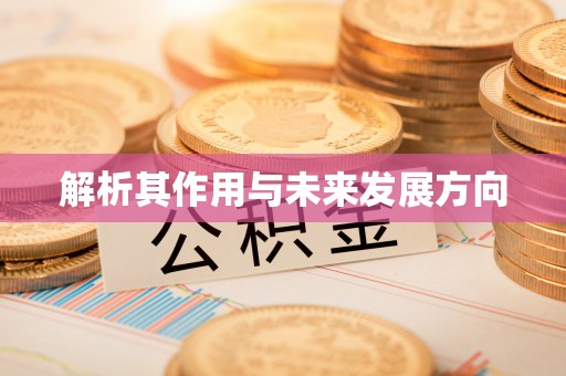巴青解析其作用与未来发展方向