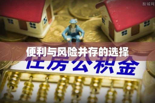 巴青便利与风险并存的选择