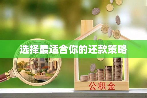 巴青选择最适合你的还款策略