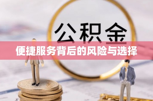 巴青便捷服务背后的风险与选择