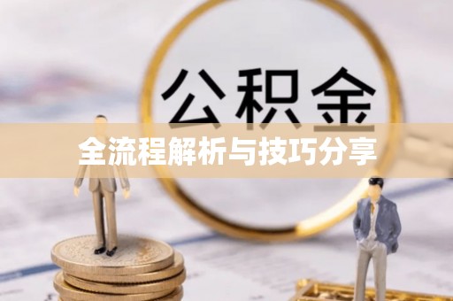 巴青全流程解析与技巧分享