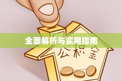 巴青全面解析与实用指南