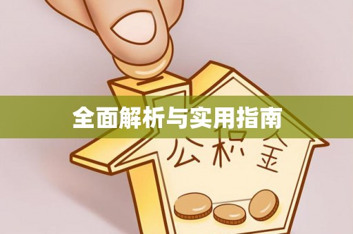 巴青全面解析与实用指南