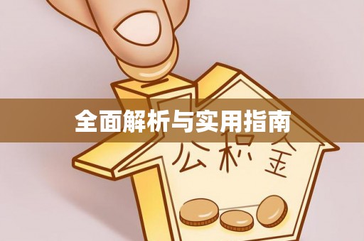 巴青全面解析与实用指南
